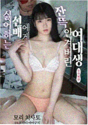 关于免费动画片软件字幕偏移记录的资讯配图